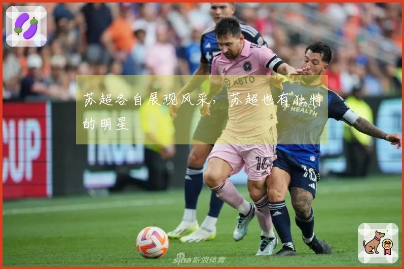 苏超各自展现风采，苏超也有独特的明星