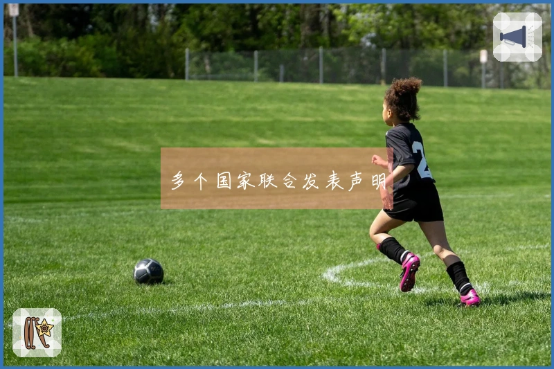 多个国家联合发表声明